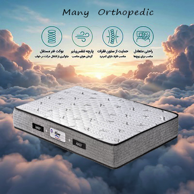 تشک ارتوپدیک (Orthopedic)