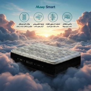 تشک اسمارت (Smart)