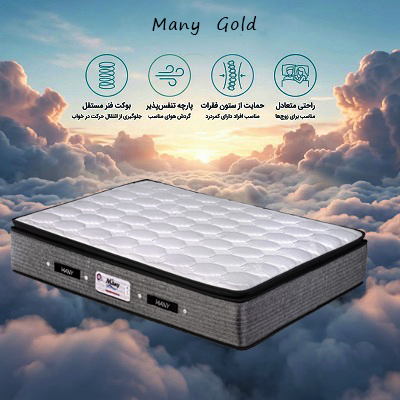 تشک پد دار گلد (Gold)